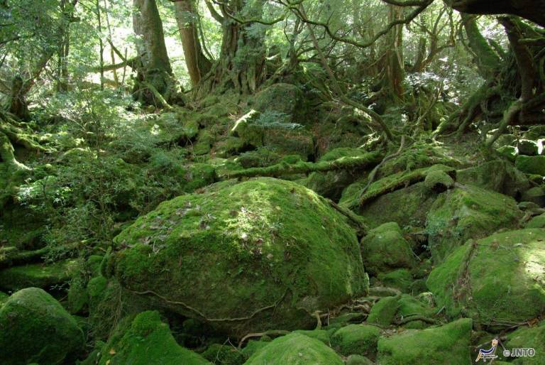 Yakushima