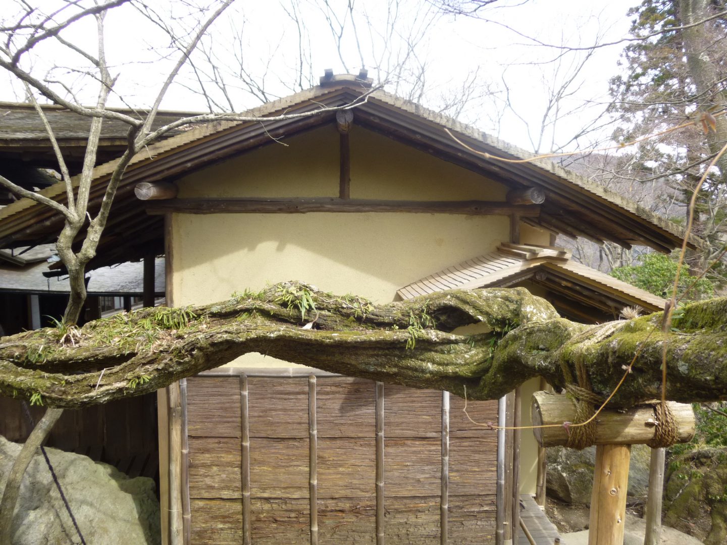 Haku-un-dō Hakone