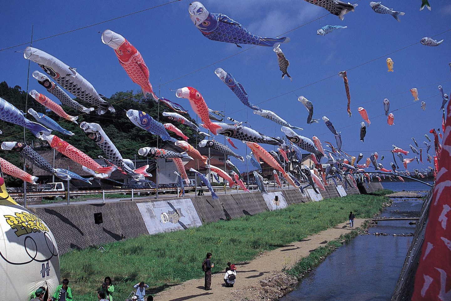 Koinobori