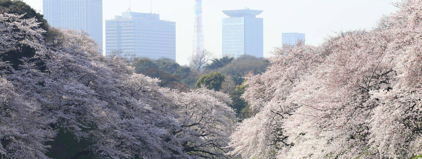 Shinjuku Gyoen