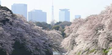 Shinjuku Gyoen