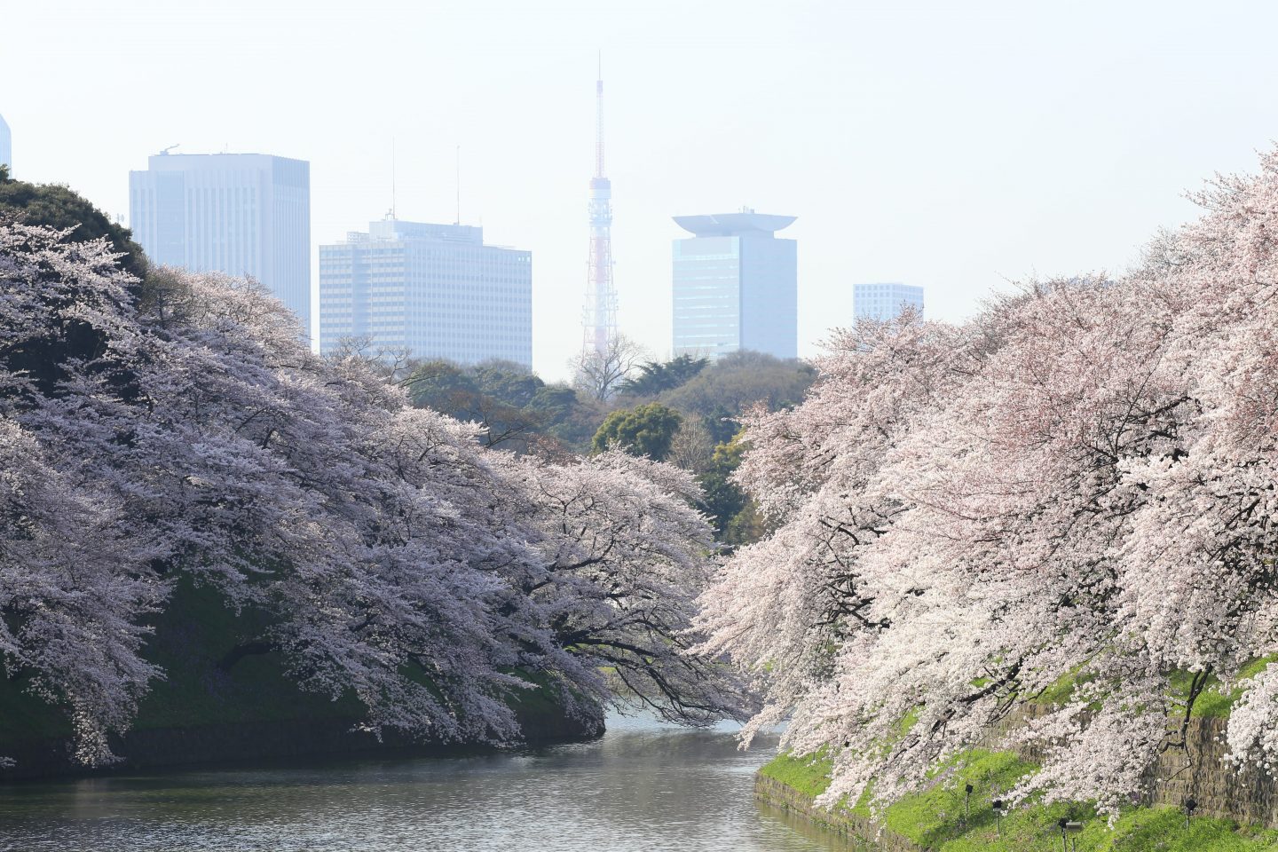 Shinjuku Gyoen