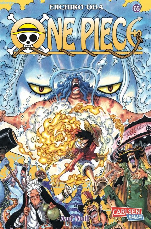 One Piece Cover