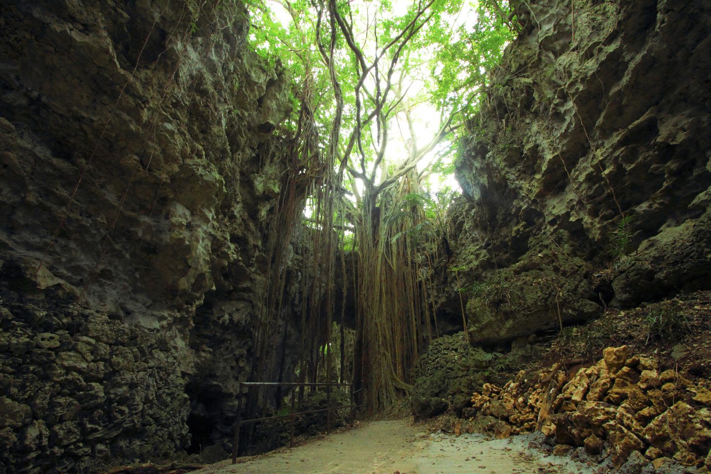 Gangala Schlucht