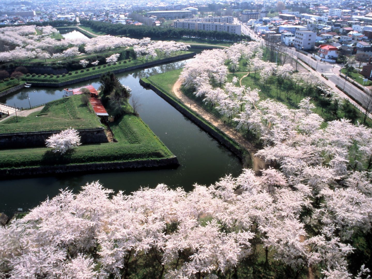 Aussicht Goryokaku