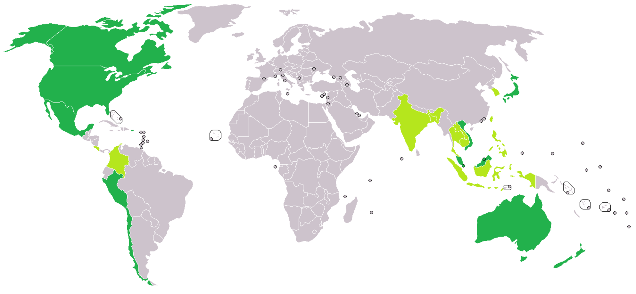 TPP