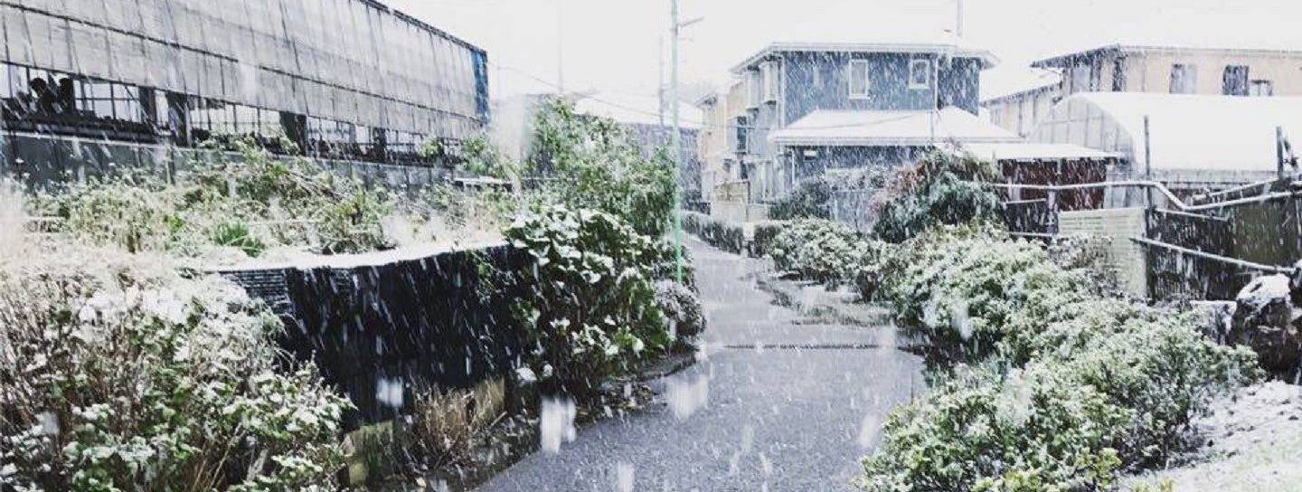 Schnee Kanagawa