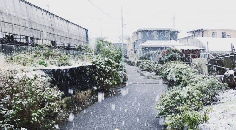 Schnee Kanagawa