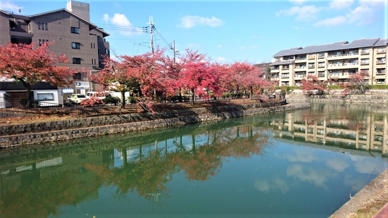 Kyoto sanpo