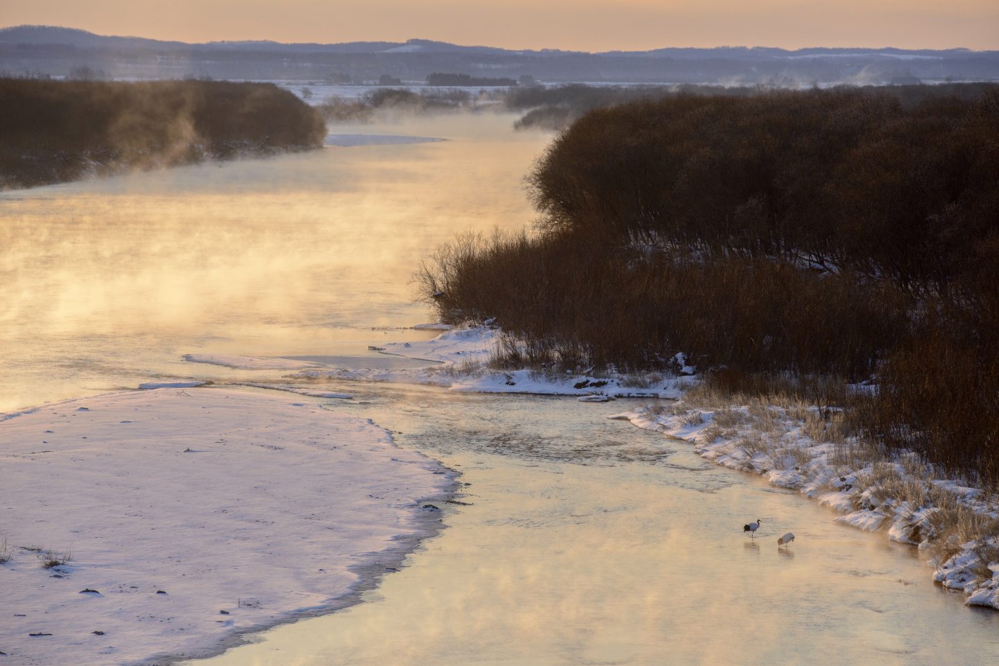 Kranich Hokkaido Japan