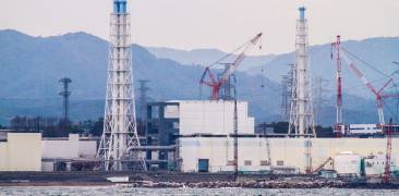 Fukushima Havarie ausgetretenes Mateiral