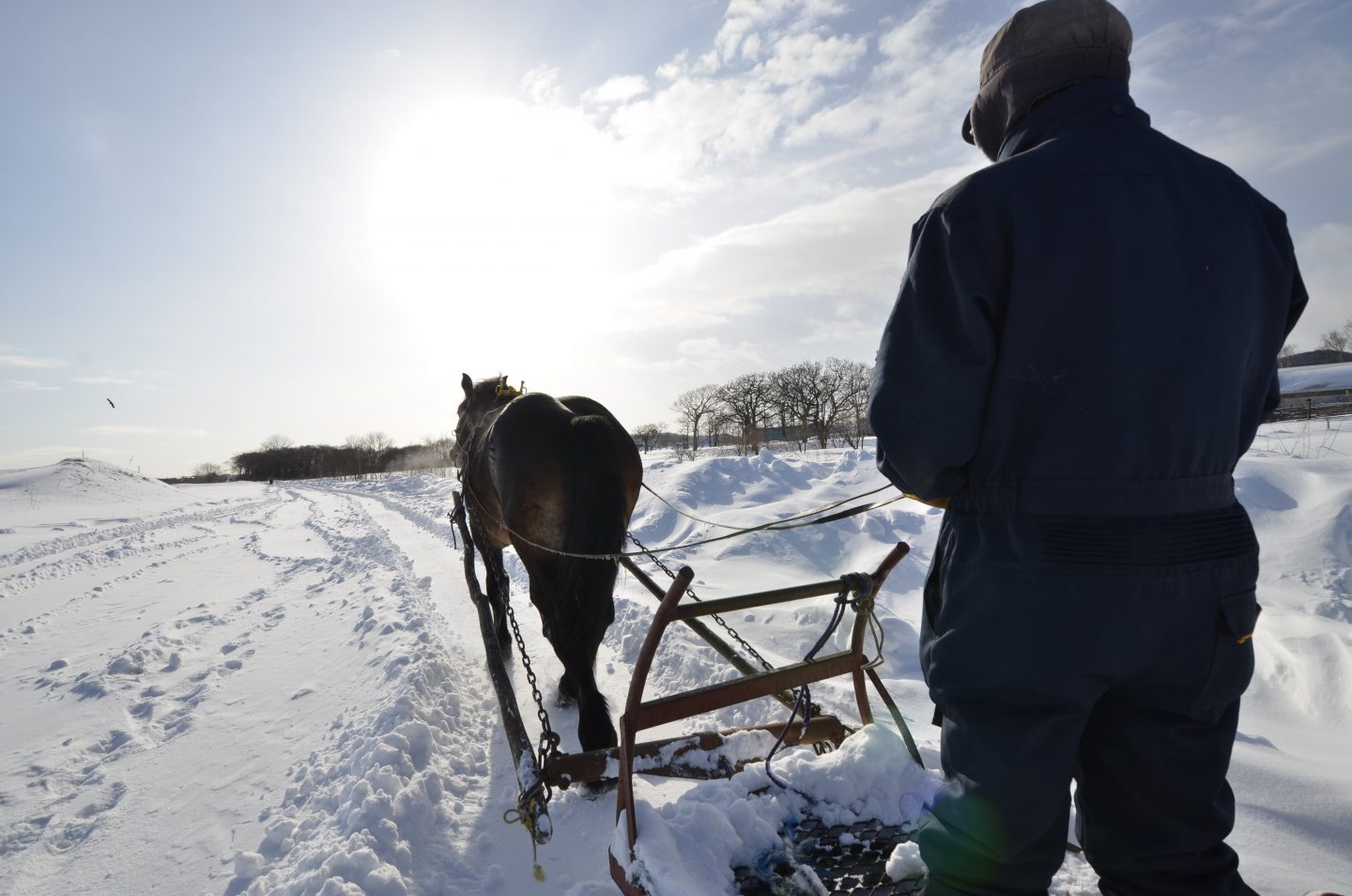 Schnee Hokkaido