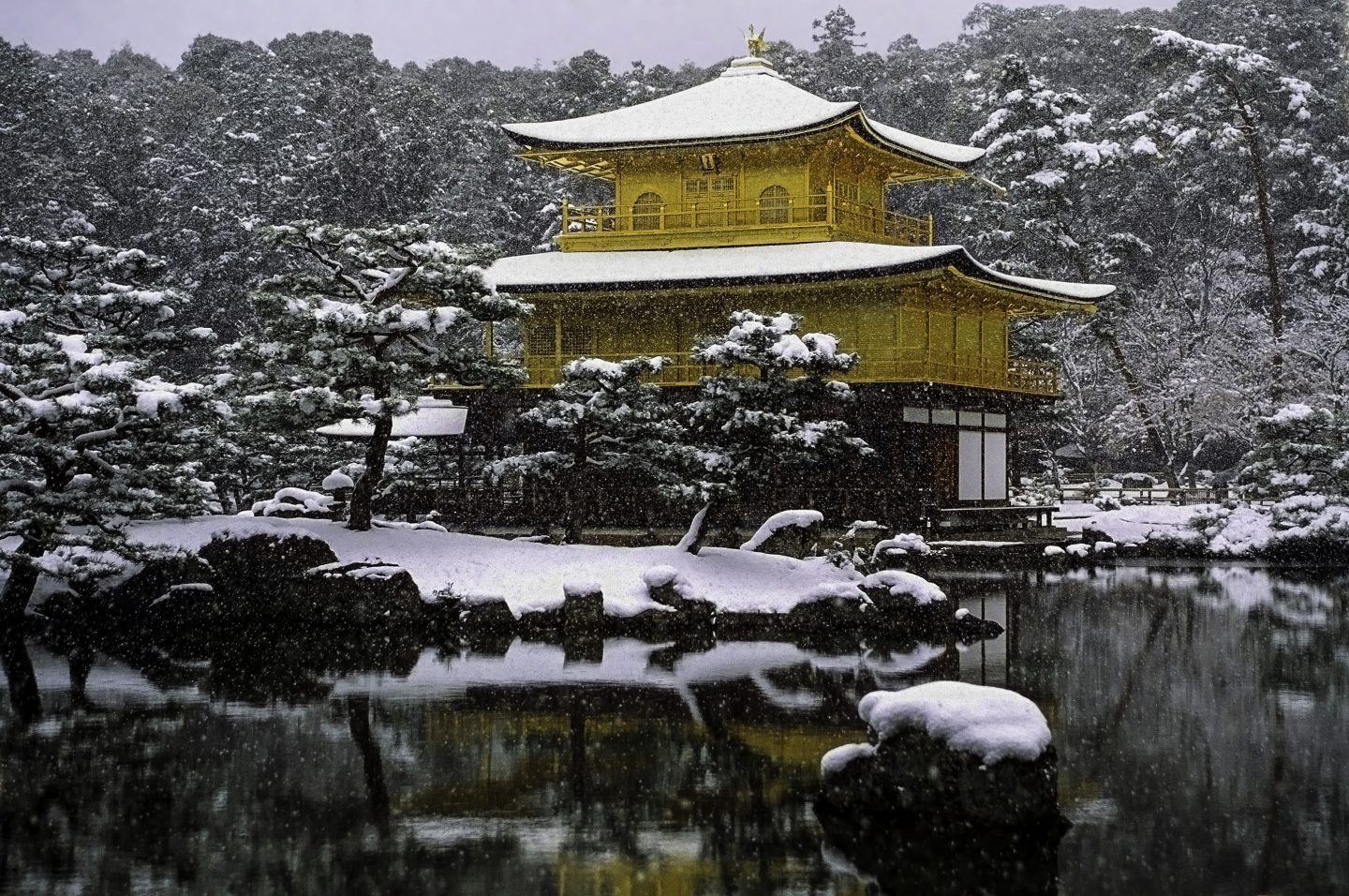 Schneebedeckter Kinkaku Tempel in kyoto