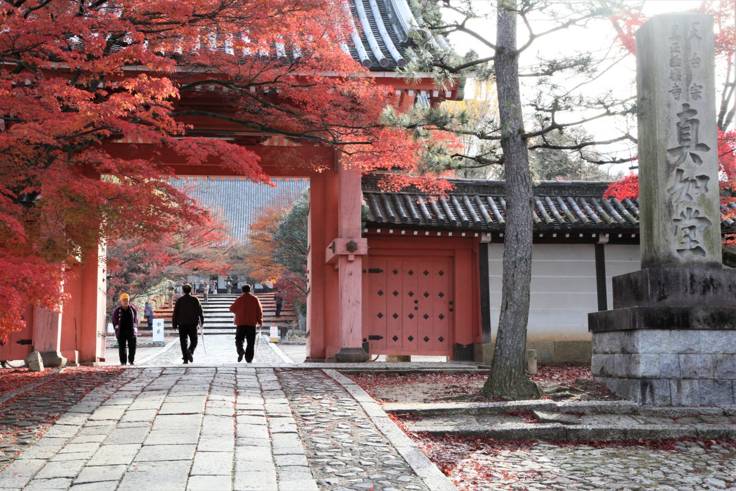 Hogon-tempel in kyoto mit Herbstlaub