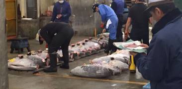 tsukiji