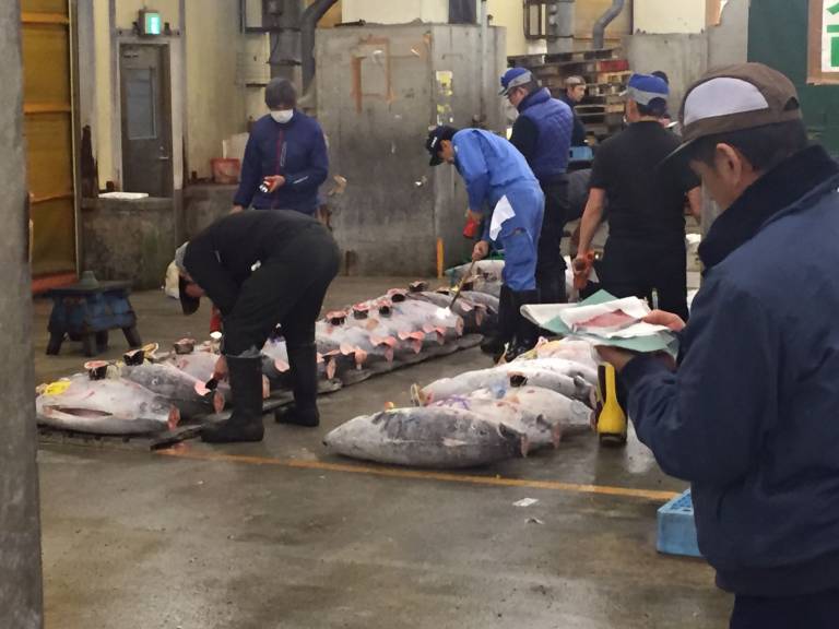 tsukiji