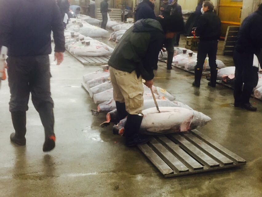 tsukiji