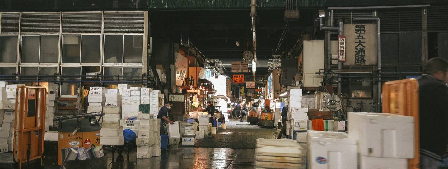 tsukiji fischmarkt