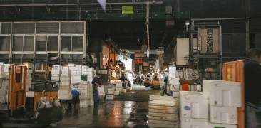 tsukiji fischmarkt