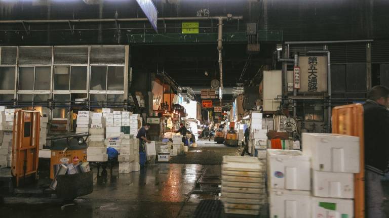 tsukiji fischmarkt