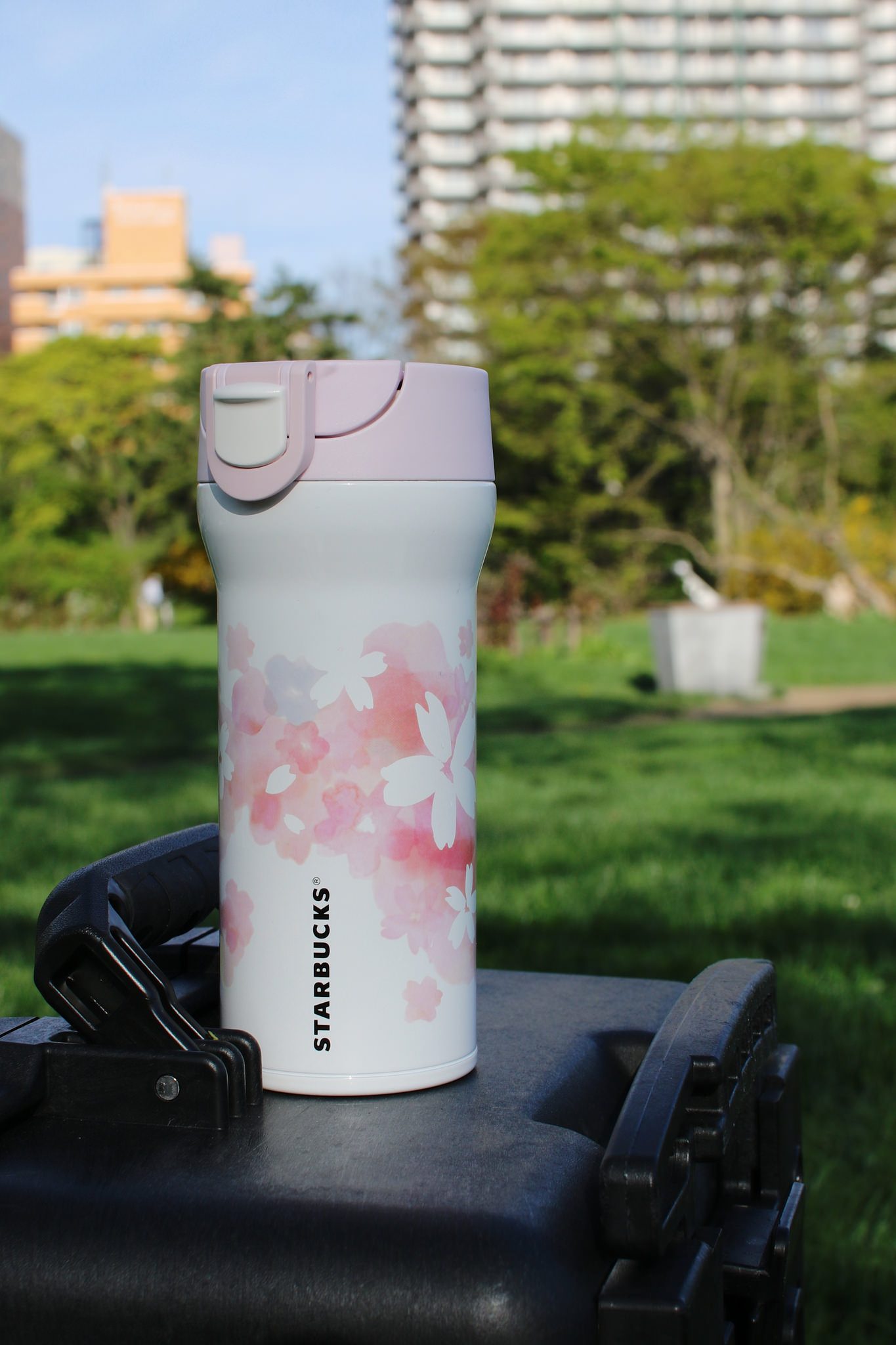 sakura becher