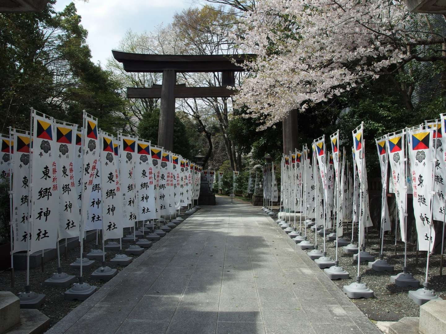 Kirschblüte Harajuku Japan Togo Schrein