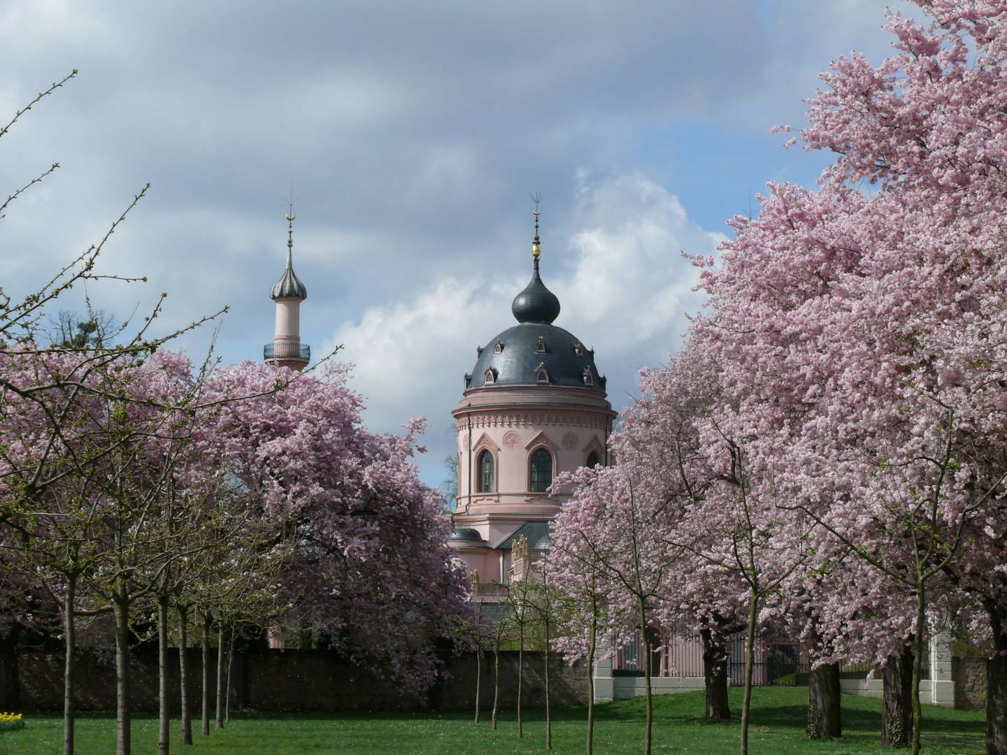 Kirschblüte Deutschland Hanami Japan