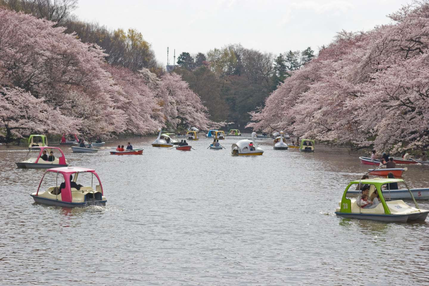 inokashira