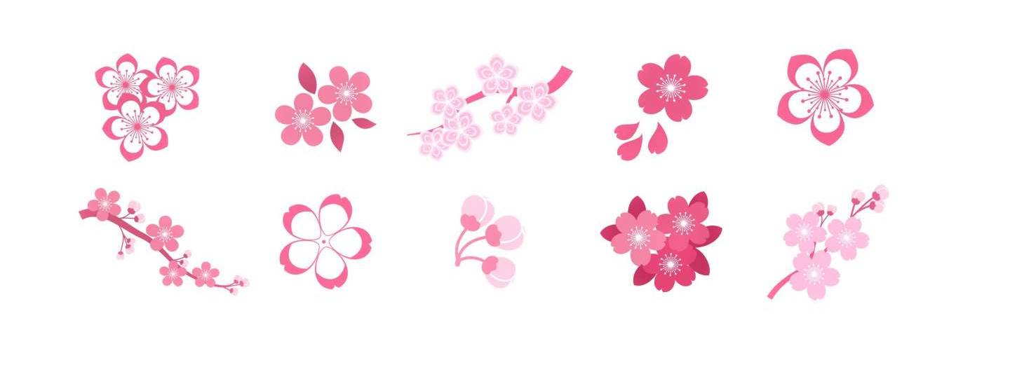 Illustration von verschiedenen Typen Kirschblüten in Japan