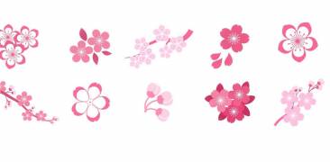 Illustration von verschiedenen Typen Kirschblüten in Japan