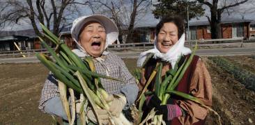 Fukushima Leben danach Zuversicht