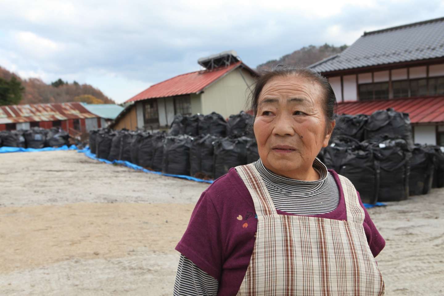 Fukushima Iitate Wiederaufbau Kontaminierung Dekontaminierung
