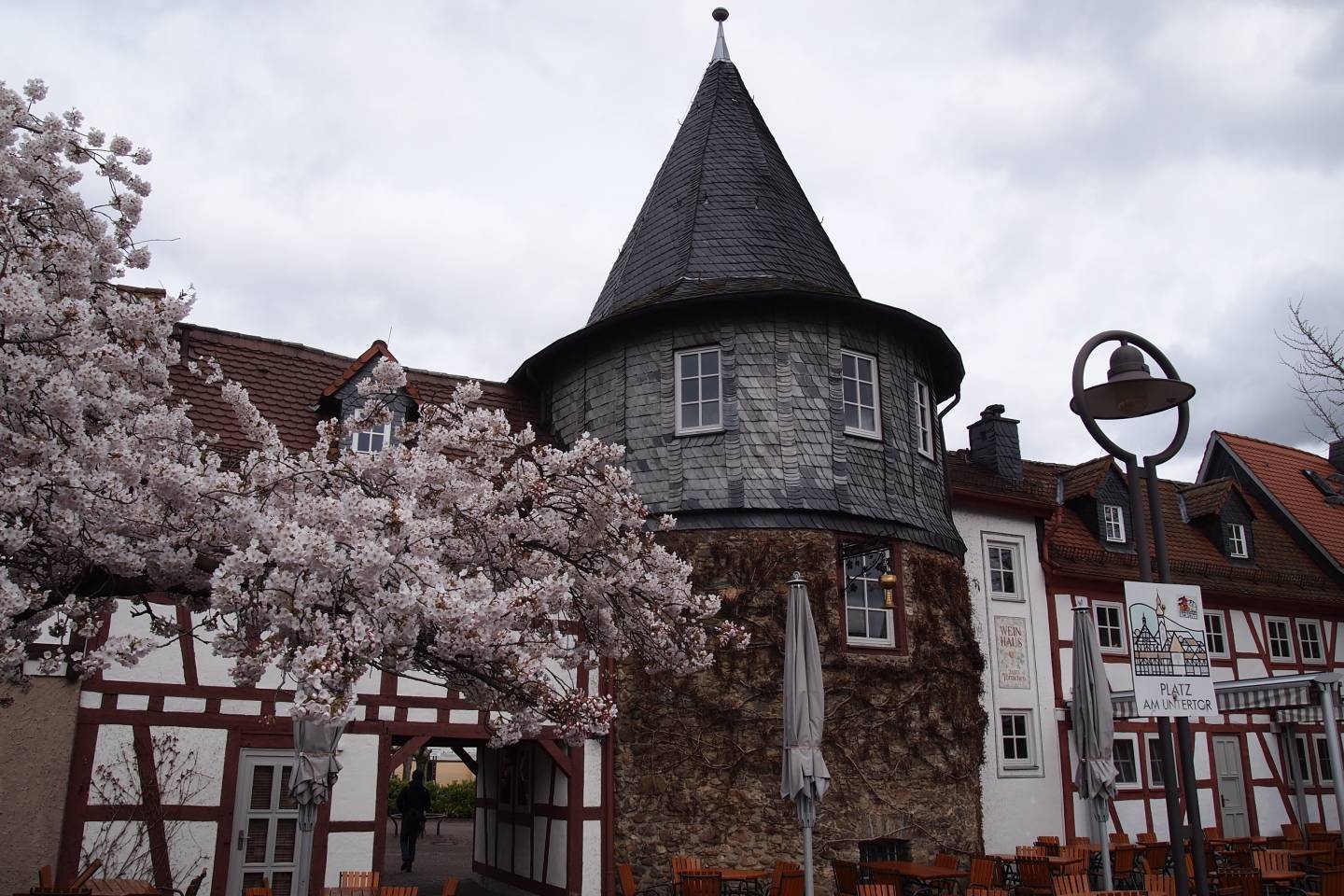 Kirschblüte Deutschland Hanami Japan