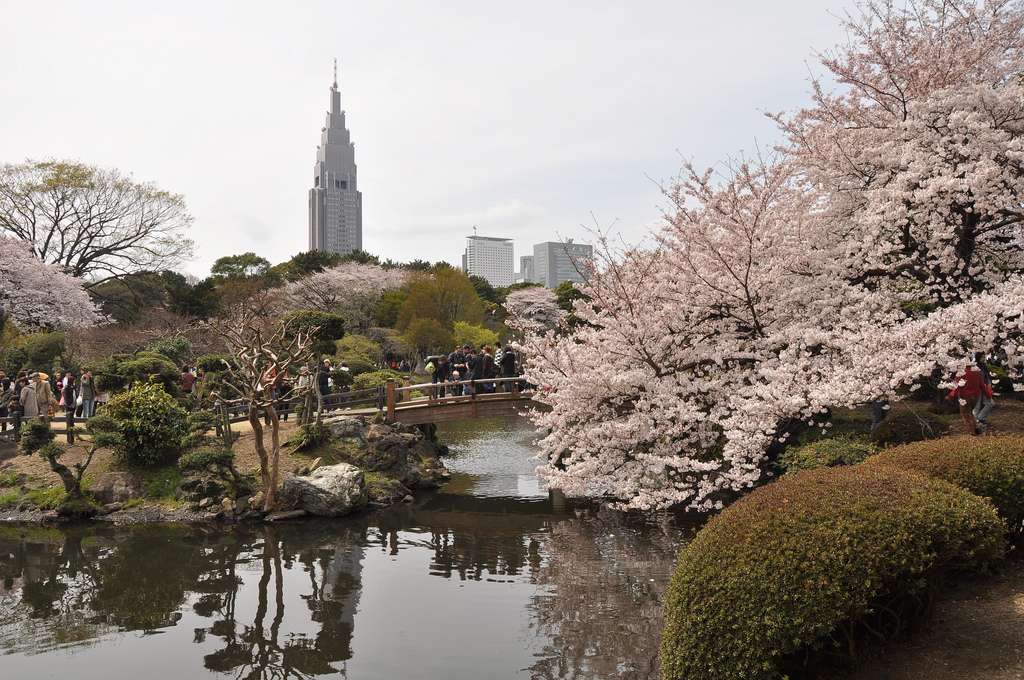 Shinjuku Gyoen