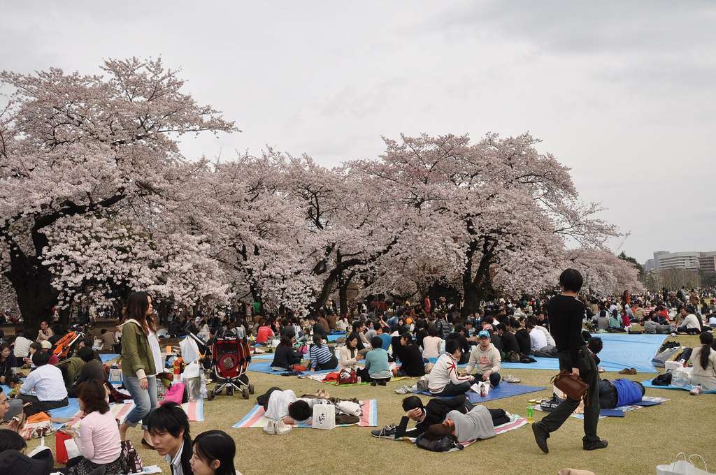 Shinjuku Gyoen