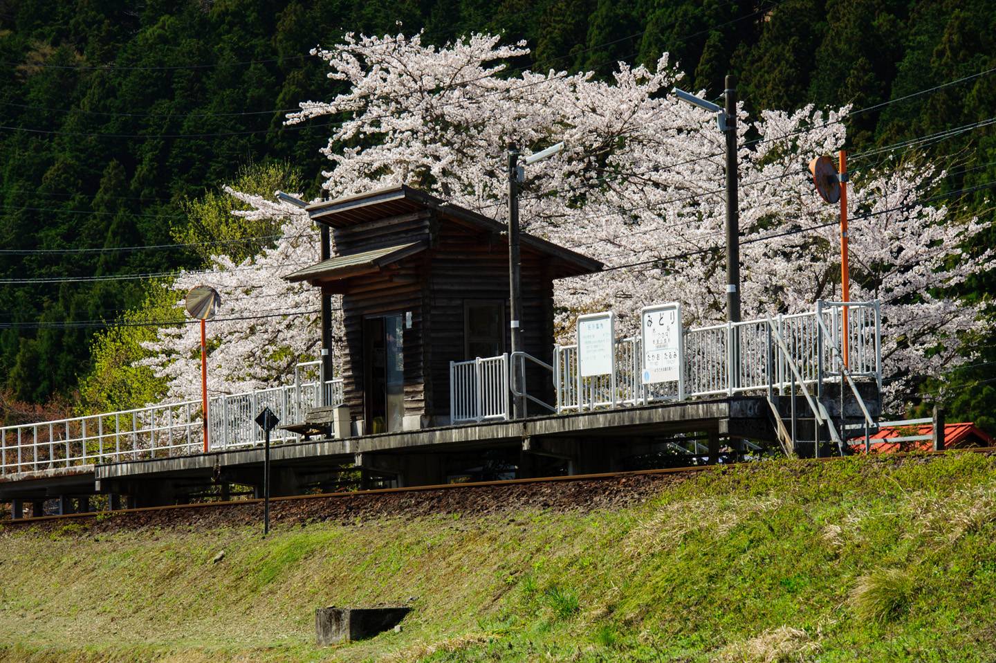 JR Pass Ausflug aufs Land Bahn Japan Japan Rail Pass Landpartie