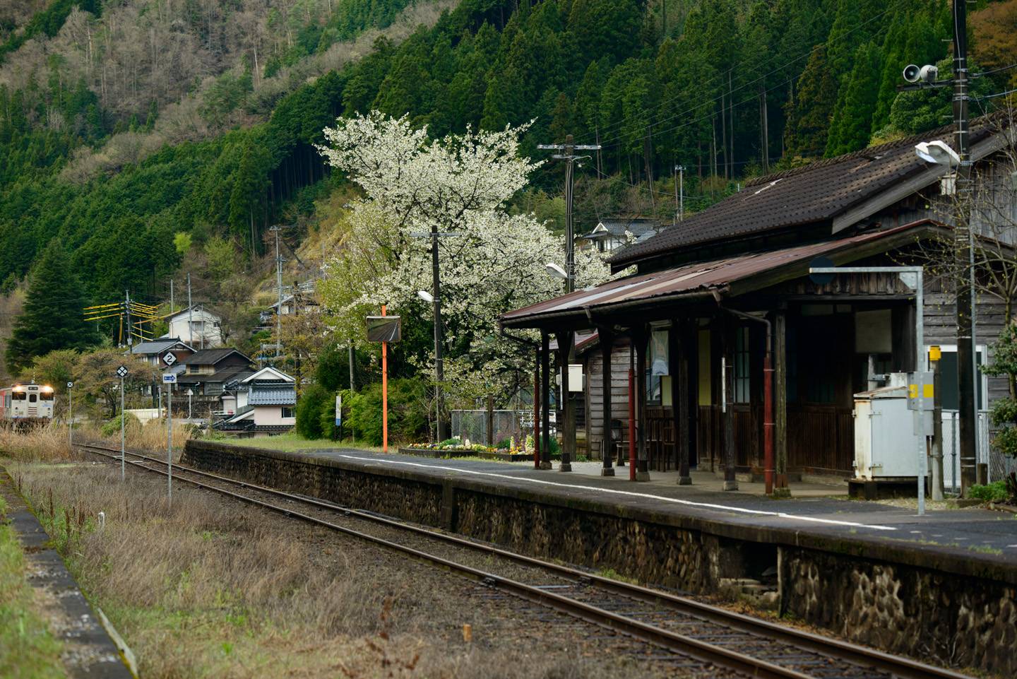 JR Pass Ausflug aufs Land Bahn Japan Japan Rail Pass Landpartie