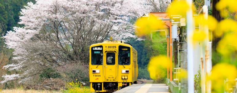 JR Pass Ausflug aufs Land Bahn Japan Japan Rail Pass Landpartie