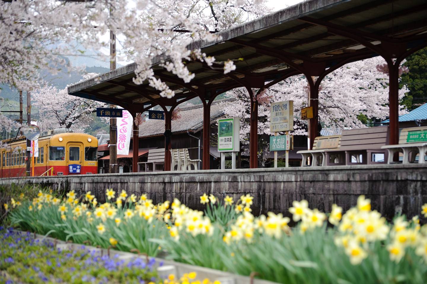 JR Pass Ausflug aufs Land Bahn Japan Japan Rail Pass Landpartie