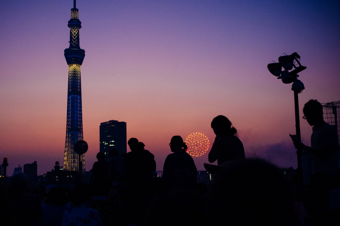 Top 10 Sightseeing Tokyo