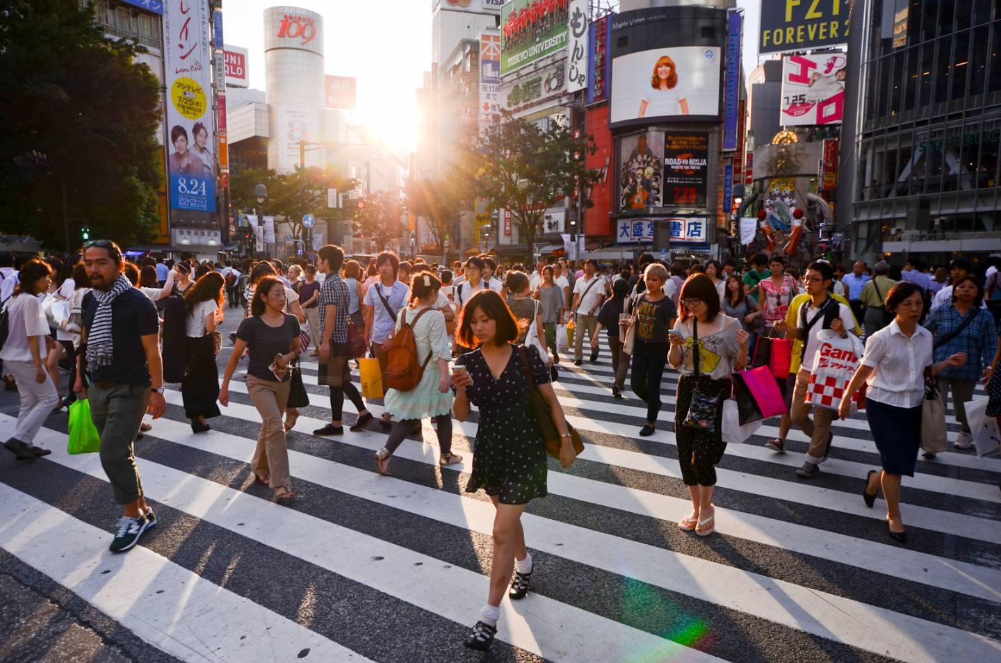 Top 10 Sightseeing Tokyo