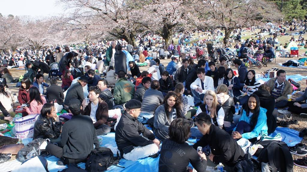 Japanisch-Deutsche Gesellschaft Tokyo Hanami Japaner treffen kennenlernen