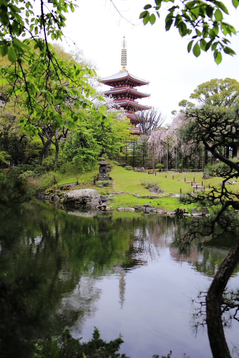 JTPA Japan Travel Photographers Association Kirschblüte Tokyo