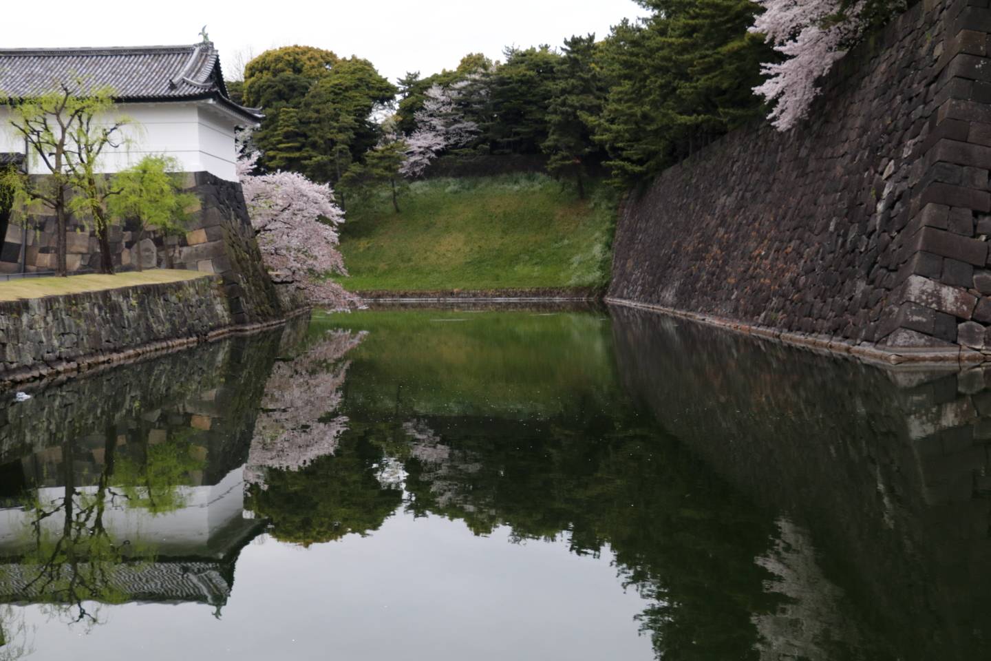 JTPA Japan Travel Photographers Association Kirschblüte Tokyo