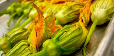 Kürbis Zucchini Blüte Tempura