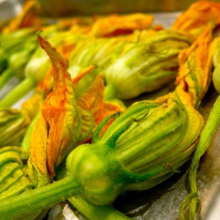 Kürbis Zucchini Blüte Tempura