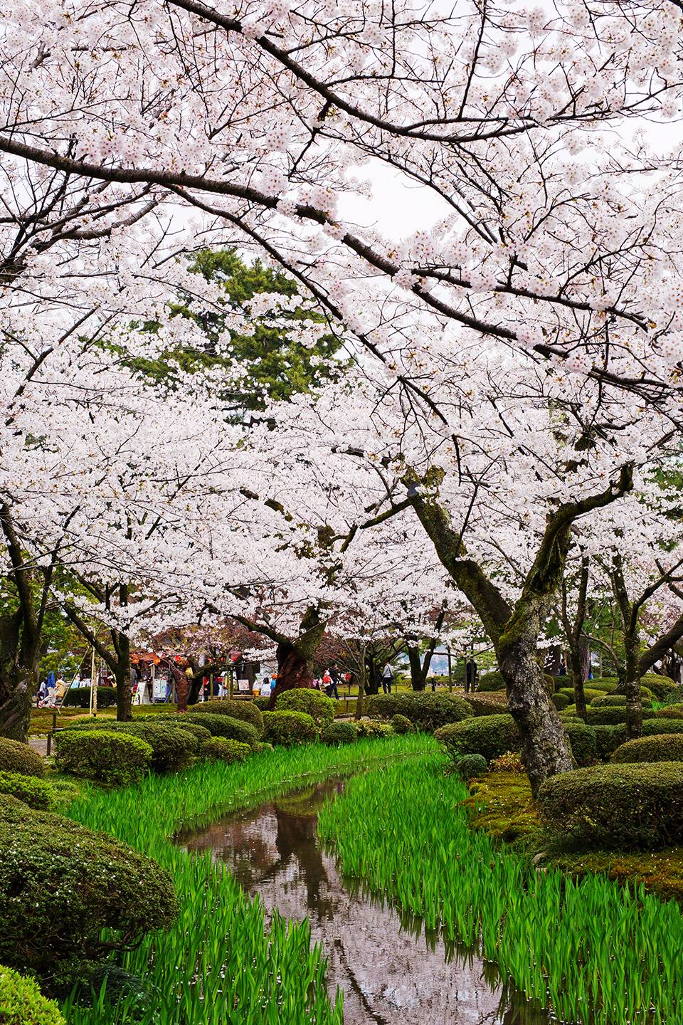 JTPA Kenrokuen Kanazawa