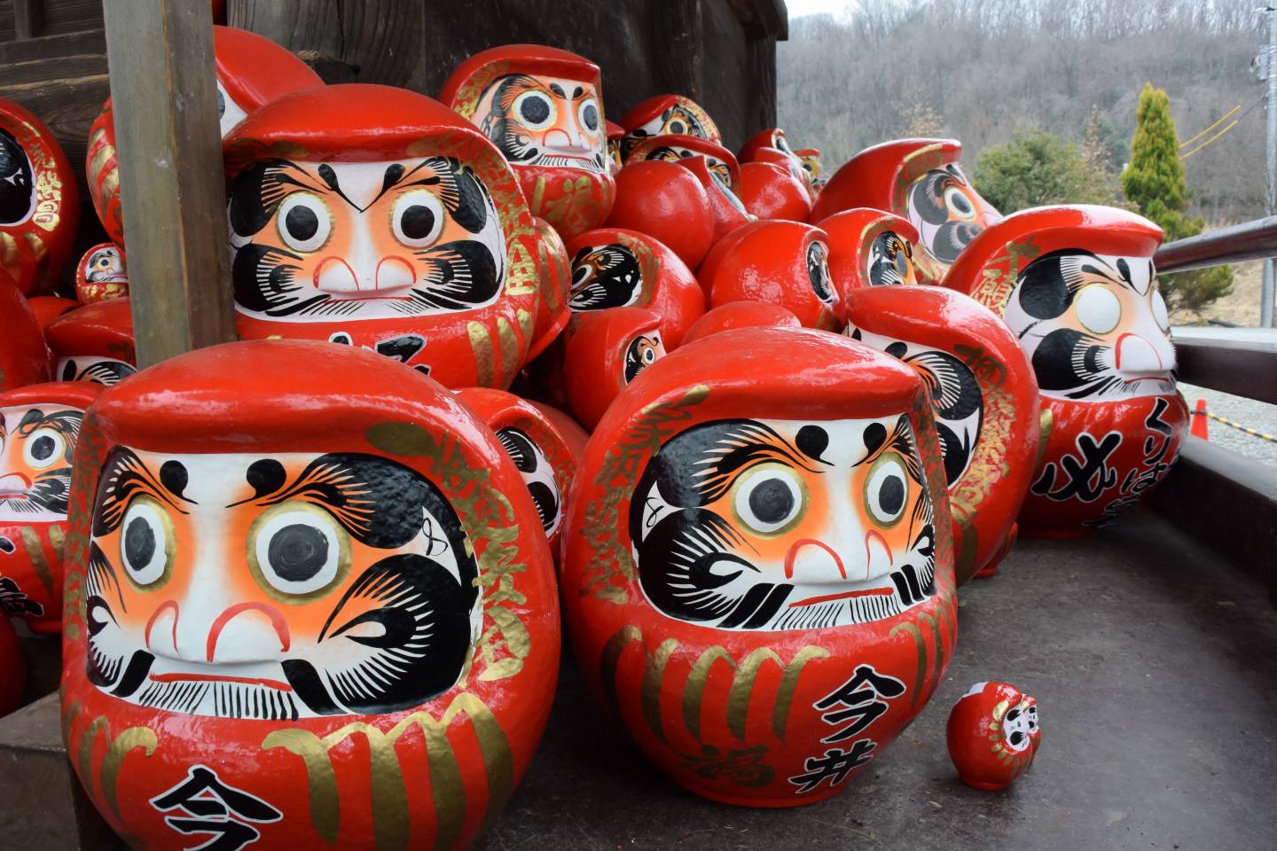 Sammlung japanischer Daruma (dickbauchige, rote Figuren mit markantem Gesicht)