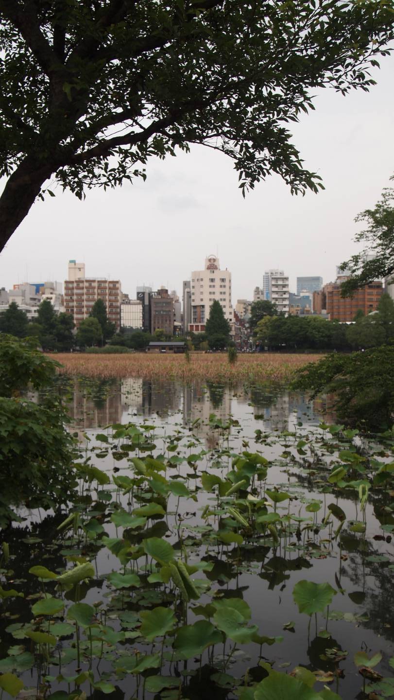 Ueno Tokyo Tipps Japan