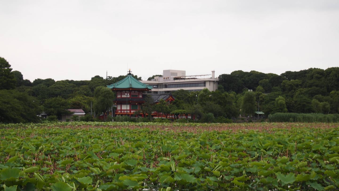 Ueno Tokyo Tipps Japan